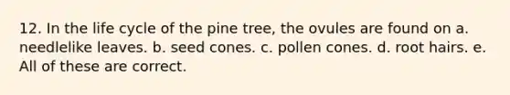 12. In the life cycle of the pine tree, the ovules are found on a. needlelike leaves. b. seed cones. c. pollen cones. d. root hairs. e. All of these are correct.