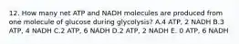 12. How many net ATP and NADH molecules are produced from one molecule of glucose during glycolysis? A.4 ATP, 2 NADH B.3 ATP, 4 NADH C.2 ATP, 6 NADH D.2 ATP, 2 NADH E. 0 ATP, 6 NADH