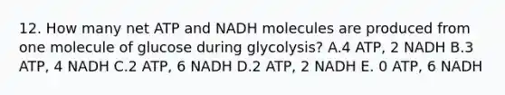 12. How many net ATP and NADH molecules are produced from one molecule of glucose during glycolysis? A.4 ATP, 2 NADH B.3 ATP, 4 NADH C.2 ATP, 6 NADH D.2 ATP, 2 NADH E. 0 ATP, 6 NADH