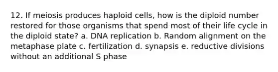 12. If meiosis produces haploid cells, how is the diploid number restored for those organisms that spend most of their life cycle in the diploid state? a. DNA replication b. Random alignment on the metaphase plate c. fertilization d. synapsis e. reductive divisions without an additional S phase