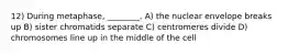 12) During metaphase, ________. A) the nuclear envelope breaks up B) sister chromatids separate C) centromeres divide D) chromosomes line up in the middle of the cell