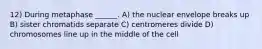 12) During metaphase ______. A) the nuclear envelope breaks up B) sister chromatids separate C) centromeres divide D) chromosomes line up in the middle of the cell