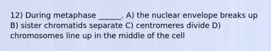 12) During metaphase ______. A) the nuclear envelope breaks up B) sister chromatids separate C) centromeres divide D) chromosomes line up in the middle of the cell