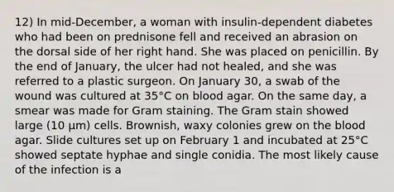 12) In mid-December, a woman with insulin-dependent diabetes who had been on prednisone fell and received an abrasion on the dorsal side of her right hand. She was placed on penicillin. By the end of January, the ulcer had not healed, and she was referred to a plastic surgeon. On January 30, a swab of the wound was cultured at 35°C on blood agar. On the same day, a smear was made for Gram staining. The Gram stain showed large (10 µm) cells. Brownish, waxy colonies grew on the blood agar. Slide cultures set up on February 1 and incubated at 25°C showed septate hyphae and single conidia. The most likely cause of the infection is a