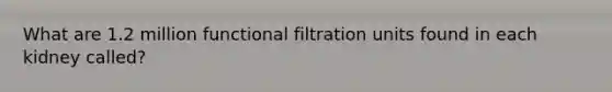 What are 1.2 million functional filtration units found in each kidney called?