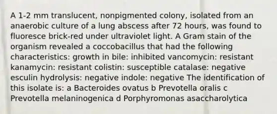 A 1-2 mm translucent, nonpigmented colony, isolated from an anaerobic culture of a lung abscess after 72 hours, was found to fluoresce brick-red under ultraviolet light. A Gram stain of the organism revealed a coccobacillus that had the following characteristics: growth in bile: inhibited vancomycin: resistant kanamycin: resistant colistin: susceptible catalase: negative esculin hydrolysis: negative indole: negative The identification of this isolate is: a Bacteroides ovatus b Prevotella oralis c Prevotella melaninogenica d Porphyromonas asaccharolytica