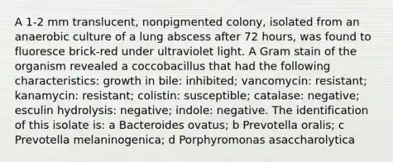 A 1-2 mm translucent, nonpigmented colony, isolated from an anaerobic culture of a lung abscess after 72 hours, was found to fluoresce brick-red under ultraviolet light. A Gram stain of the organism revealed a coccobacillus that had the following characteristics: growth in bile: inhibited; vancomycin: resistant; kanamycin: resistant; colistin: susceptible; catalase: negative; esculin hydrolysis: negative; indole: negative. The identification of this isolate is: a Bacteroides ovatus; b Prevotella oralis; c Prevotella melaninogenica; d Porphyromonas asaccharolytica