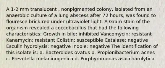 A 1-2 mm translucent , nonpigmented colony, isolated from an anaerobic culture of a lung abscess after 72 hours, was found to flouresce brick-red under ultraviolet light. A Gram stain of the organism revealed a coccobacillus that had the following characteristics: Growth in bile: inhibited Vancomycin: resistant Kanamycin: resistant Colistin: susceptible Catalase: negative Esculin hydrolysis: negative Indole: negative The identification of this isolate is: a. Bacteroides ovatus b. Propionibacterium acnes c. Prevotella melaninogenica d. Porphyromonas asaccharolytica