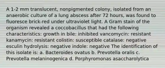 A 1-2 mm translucent, nonpigmented colony, isolated from an anaerobic culture of a lung abscess after 72 hours, was found to fluoresce brick-red under ultraviolet light. A Gram stain of the organism revealed a coccobacillus that had the following characteristics: growth in bile: inhibited vancomycin: resistant kanamycin: resistant colistin: susceptible catalase: negative esculin hydrolysis: negative indole: negative The identification of this isolate is: a. Bacteroides ovatus b. Prevotella oralis c. Prevotella melaninogenica d. Porphyromonas asaccharolytica