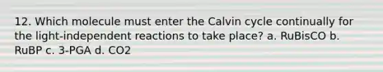 12. Which molecule must enter the Calvin cycle continually for the light-independent reactions to take place? a. RuBisCO b. RuBP c. 3-PGA d. CO2