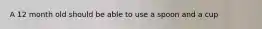 A 12 month old should be able to use a spoon and a cup