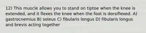 12) This muscle allows you to stand on tiptoe when the knee is extended, and it flexes the knee when the foot is dorsiflexed. A) gastrocnemius B) soleus C) fibularis longus D) fibularis longus and brevis acting together