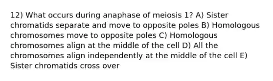 12) What occurs during anaphase of meiosis 1? A) Sister chromatids separate and move to opposite poles B) Homologous chromosomes move to opposite poles C) Homologous chromosomes align at the middle of the cell D) All the chromosomes align independently at the middle of the cell E) Sister chromatids cross over