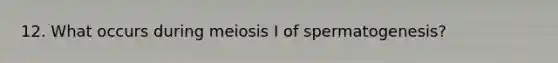 12. What occurs during meiosis I of spermatogenesis?