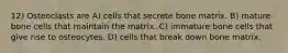 12) Osteoclasts are A) cells that secrete bone matrix. B) mature bone cells that maintain the matrix. C) immature bone cells that give rise to osteocytes. D) cells that break down bone matrix.