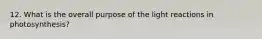 12. What is the overall purpose of the light reactions in photosynthesis?