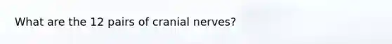 What are the 12 pairs of <a href='https://www.questionai.com/knowledge/kE0S4sPl98-cranial-nerves' class='anchor-knowledge'>cranial nerves</a>?