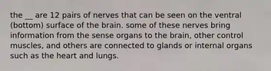 the __ are 12 pairs of nerves that can be seen on the ventral (bottom) surface of the brain. some of these nerves bring information from the sense organs to the brain, other control muscles, and others are connected to glands or internal organs such as the heart and lungs.