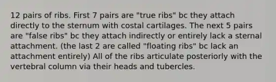 12 pairs of ribs. First 7 pairs are "true ribs" bc they attach directly to the sternum with costal cartilages. The next 5 pairs are "false ribs" bc they attach indirectly or entirely lack a sternal attachment. (the last 2 are called "floating ribs" bc lack an attachment entirely) All of the ribs articulate posteriorly with the vertebral column via their heads and tubercles.