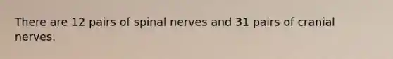 There are 12 pairs of spinal nerves and 31 pairs of cranial nerves.