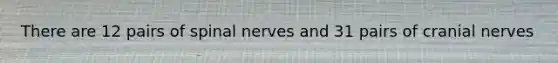 There are 12 pairs of spinal nerves and 31 pairs of cranial nerves