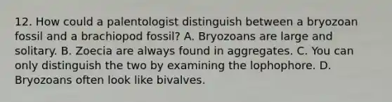 12. How could a palentologist distinguish between a bryozoan fossil and a brachiopod fossil? A. Bryozoans are large and solitary. B. Zoecia are always found in aggregates. C. You can only distinguish the two by examining the lophophore. D. Bryozoans often look like bivalves.