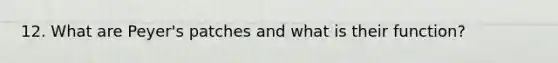 12. What are Peyer's patches and what is their function?