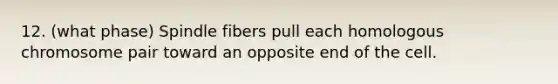 12. (what phase) Spindle fibers pull each homologous chromosome pair toward an opposite end of the cell.