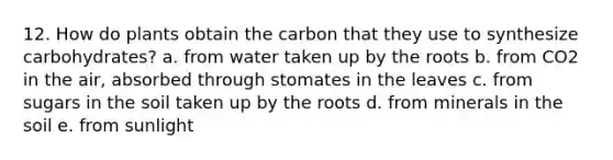 12. How do plants obtain the carbon that they use to synthesize carbohydrates? a. from water taken up by the roots b. from CO2 in the air, absorbed through stomates in the leaves c. from sugars in the soil taken up by the roots d. from minerals in the soil e. from sunlight