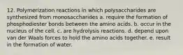 12. Polymerization reactions in which polysaccharides are synthesized from monosaccharides a. require the formation of phosphodiester bonds between the amino acids. b. occur in the nucleus of the cell. c. are hydrolysis reactions. d. depend upon van der Waals forces to hold the amino acids together. e. result in the formation of water.