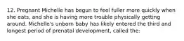 12. Pregnant Michelle has begun to feel fuller more quickly when she eats, and she is having more trouble physically getting around. Michelle's unborn baby has likely entered the third and longest period of prenatal development, called the: