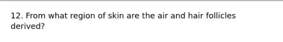 12. From what region of skin are the air and hair follicles derived?