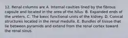 12. Renal columns are A. Internal cavities lined by the fibrous capsule and located in the area of the hilus. B. Expanded ends of the ureters. C. The basic functional units of the kidney. D. Conical structures located in the renal medulla. E. Bundles of tissue that lie between pyramids and extend from the renal cortex toward the renal sinus.