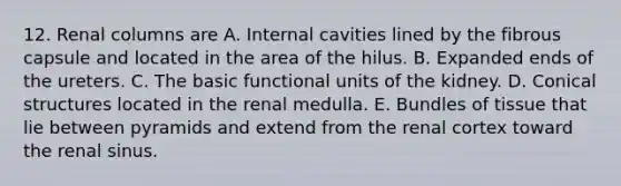 12. Renal columns are A. Internal cavities lined by the fibrous capsule and located in the area of the hilus. B. Expanded ends of the ureters. C. The basic functional units of the kidney. D. Conical structures located in the renal medulla. E. Bundles of tissue that lie between pyramids and extend from the renal cortex toward the renal sinus.