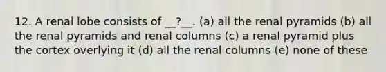 12. A renal lobe consists of __?__. (a) all the renal pyramids (b) all the renal pyramids and renal columns (c) a renal pyramid plus the cortex overlying it (d) all the renal columns (e) none of these