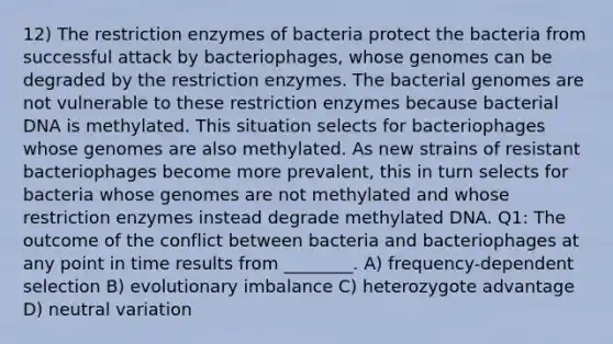 12) The restriction enzymes of bacteria protect the bacteria from successful attack by bacteriophages, whose genomes can be degraded by the restriction enzymes. The bacterial genomes are not vulnerable to these restriction enzymes because bacterial DNA is methylated. This situation selects for bacteriophages whose genomes are also methylated. As new strains of resistant bacteriophages become more prevalent, this in turn selects for bacteria whose genomes are not methylated and whose restriction enzymes instead degrade methylated DNA. Q1: The outcome of the conflict between bacteria and bacteriophages at any point in time results from ________. A) frequency-dependent selection B) evolutionary imbalance C) heterozygote advantage D) neutral variation