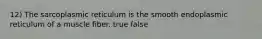 12) The sarcoplasmic reticulum is the smooth endoplasmic reticulum of a muscle fiber. true false