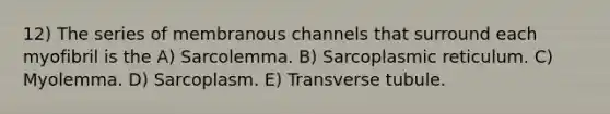 12) The series of membranous channels that surround each myofibril is the A) Sarcolemma. B) Sarcoplasmic reticulum. C) Myolemma. D) Sarcoplasm. E) Transverse tubule.