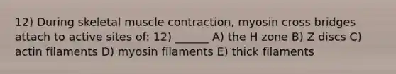 12) During skeletal muscle contraction, myosin cross bridges attach to active sites of: 12) ______ A) the H zone B) Z discs C) actin filaments D) myosin filaments E) thick filaments