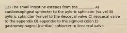 12) The small intestine extends from the ________. A) cardioesophgeal sphincter to the pyloric sphincter (valve) B) pyloric sphincter (valve) to the ileocecal valve C) ileocecal valve to the appendix D) appendix to the sigmoid colon E) gastroesophageal (cardiac) sphincter to ileocecal valve