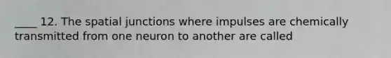 ____ 12. The spatial junctions where impulses are chemically transmitted from one neuron to another are called
