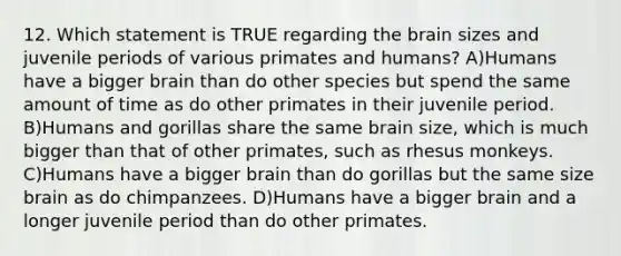 12. Which statement is TRUE regarding <a href='https://www.questionai.com/knowledge/kLMtJeqKp6-the-brain' class='anchor-knowledge'>the brain</a> sizes and juvenile periods of various primates and humans? A)Humans have a bigger brain than do other species but spend the same amount of time as do other primates in their juvenile period. B)Humans and gorillas share the same brain size, which is much bigger than that of other primates, such as rhesus monkeys. C)Humans have a bigger brain than do gorillas but the same size brain as do chimpanzees. D)Humans have a bigger brain and a longer juvenile period than do other primates.