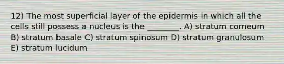 12) The most superficial layer of <a href='https://www.questionai.com/knowledge/kBFgQMpq6s-the-epidermis' class='anchor-knowledge'>the epidermis</a> in which all the cells still possess a nucleus is the ________. A) stratum corneum B) stratum basale C) stratum spinosum D) stratum granulosum E) stratum lucidum