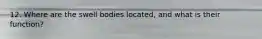 12. Where are the swell bodies located, and what is their function?