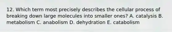 12. Which term most precisely describes the cellular process of breaking down large molecules into smaller ones? A. catalysis B. metabolism C. anabolism D. dehydration E. catabolism