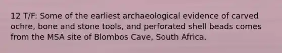 12 T/F: Some of the earliest archaeological evidence of carved ochre, bone and stone tools, and perforated shell beads comes from the MSA site of Blombos Cave, South Africa.