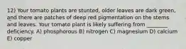 12) Your tomato plants are stunted, older leaves are dark green, and there are patches of deep red pigmentation on the stems and leaves. Your tomato plant is likely suffering from ________ deficiency. A) phosphorous B) nitrogen C) magnesium D) calcium E) copper