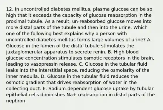 12. In uncontrolled diabetes mellitus, plasma glucose can be so high that it exceeds the capacity of glucose reabsorption in the proximal tubule. As a result, un-reabsorbed glucose moves into more distal parts of the tubule and then into the urine. Which one of the following best explains why a person with uncontrolled diabetes mellitus forms large volumes of urine? A. Glucose in the lumen of the distal tubule stimulates the juxtaglomerular apparatus to secrete renin. B. High blood glucose concentration stimulates osmotic receptors in the brain, leading to vasopressin release. C. Glucose in the tubular fluid leaks into the interstitial space, reducing the osmolarity of the inner medulla. D. Glucose in the tubular fluid reduces the osmotic gradient that drives reabsorption of water in the collecting duct. E. Sodium-dependent glucose uptake by tubular epithelial cells diminishes Na+ reabsorption in distal parts of the nephron