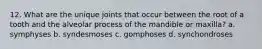 12. What are the unique joints that occur between the root of a tooth and the alveolar process of the mandible or maxilla? a. symphyses b. syndesmoses c. gomphoses d. synchondroses