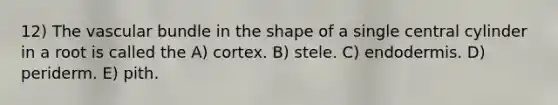 12) The vascular bundle in the shape of a single central cylinder in a root is called the A) cortex. B) stele. C) endodermis. D) periderm. E) pith.